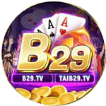 B29 TV