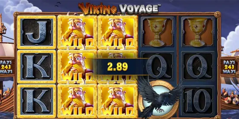 vai-net-co-ban-Viking-Voyage